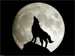 the full moon moon wolves